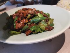 青椒炒肉-新沸腾鱼乡(世贸天阶店)