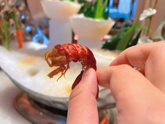 -白金汉爵大酒店-24小时餐厅