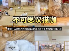 -咖法森林·咖啡  酒吧(天河店)