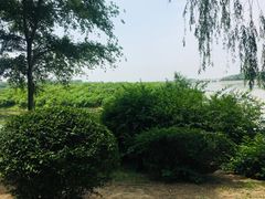 -丁香湖公园