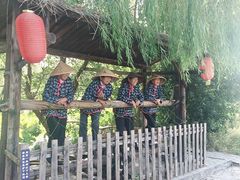 -溱湖国家湿地公园