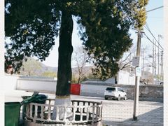 -大觉寺-停车场