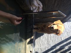 iphone_upload_pic-北京美神宫艺术主题温泉酒店