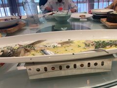 -沪碟·精菜坊(闵行店)