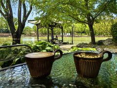 -三忘湖 SWANSEEN(柳荫公园店)