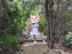 -孤山岛