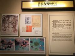 -中国茶叶博物馆(双峰馆区)