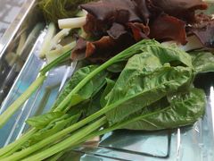 -金鼎雪山牦牛杂火锅(理县总店)