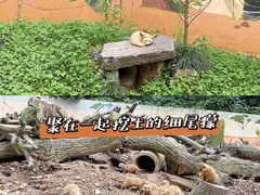 -杭州少年儿童公园