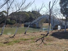 -上海海湾国家森林公园