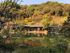 -云溪植物园