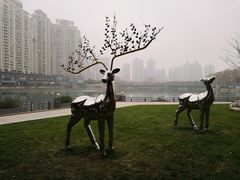 -西北湖绿化广场