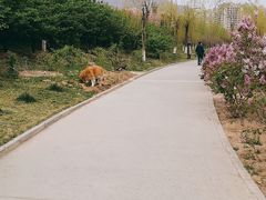 -门城湖公园