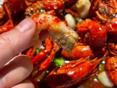 -杨氏青龙虾·羊蝎子(金盛路总店)