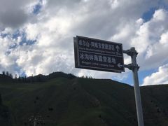 -冰沟林海
