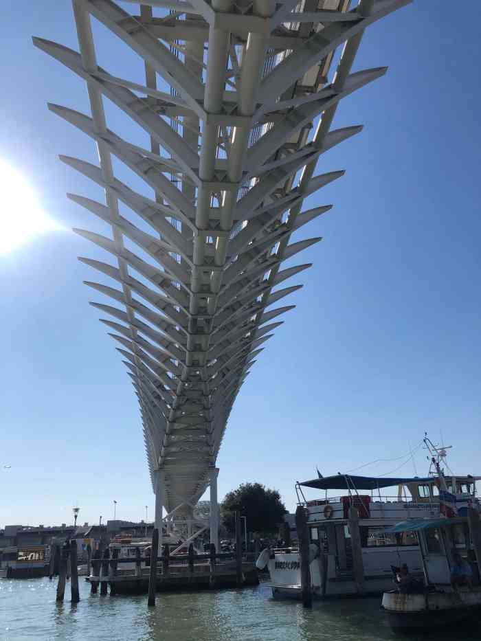 古格利桥-"整个威尼斯都感觉收到了海岸线上升的影响,.