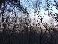 -紫金山山顶公园