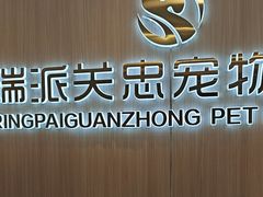 -瑞派·关忠动物医院·猫专科·犬专科(三环新城店)