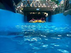 -青岛东方影都融创水世界