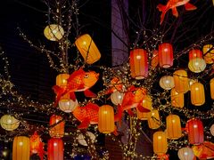 -龙湖星悦荟(颐和店)