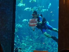 -迪拜帆船酒店海底餐厅