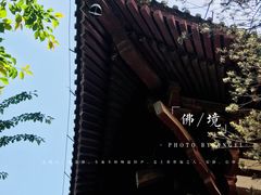 -西安青龙寺遗址景区