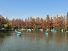 -庐州太太(鼓楼店)