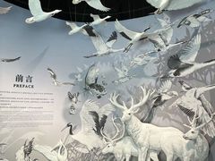 -中国湿地博物馆
