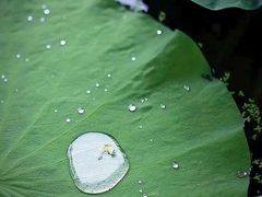 -四川大学(华西校区)