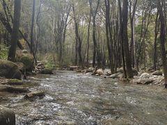 -玉渡山自然风景区