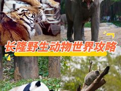 -广州长隆野生动物世界