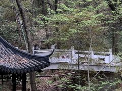 -宝岩生态观光园