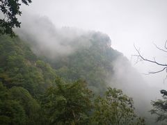 -陕西省红河谷森林公园