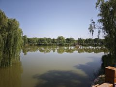 -稻香湖公园