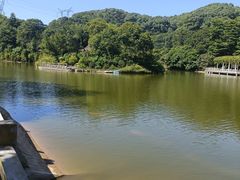 -广州市帽峰山景区