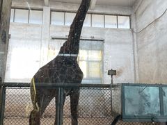 -石家庄市动物园