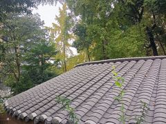 -成都市活水公园