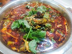 -彭大姐老店黄辣丁(新津店)