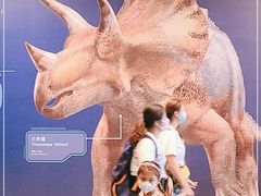 -香港科学馆