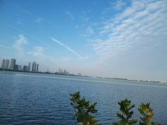 -东湖落雁景区