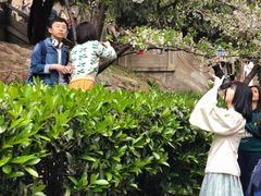-武汉大学-樱园