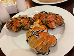 -马哥孛罗咖啡厅·Cafe Marco (厦门马哥孛罗东方大酒店)