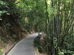-羚羊峡古栈道森林公园