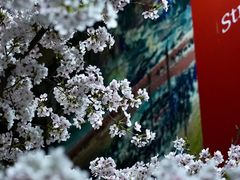 -龙美术馆(西岸馆)