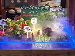 -老阿爸鲜鱼土菜(园区永旺店)
