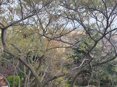 -信号山公园