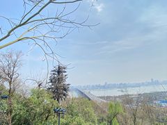 -龟山风景区-龟山电视塔