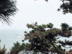 -青岛第二海水浴场
