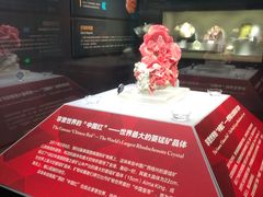 -湖南省地质博物馆