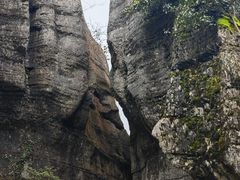 -山王坪喀斯特国家生态公园